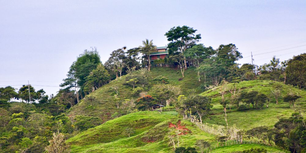 Diversified Farming" _languageinserted="true