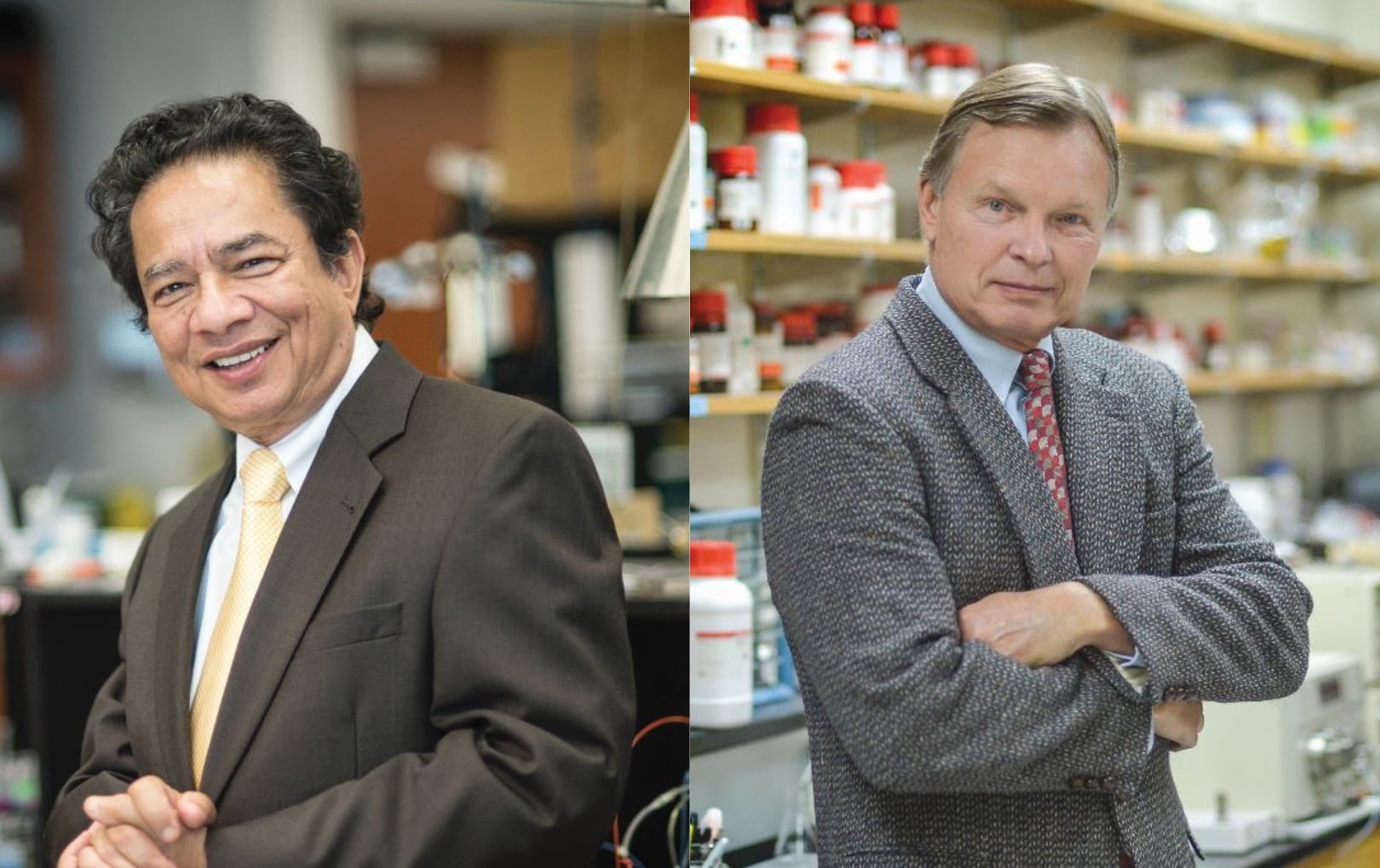 Dasgupta and Armstrong" _languageinserted="true