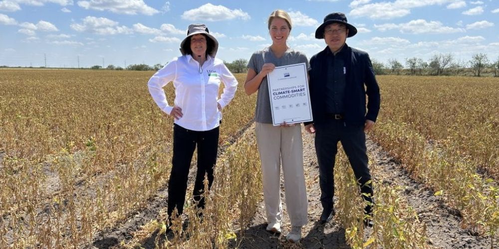 USDA and UTA climate smart soybean project