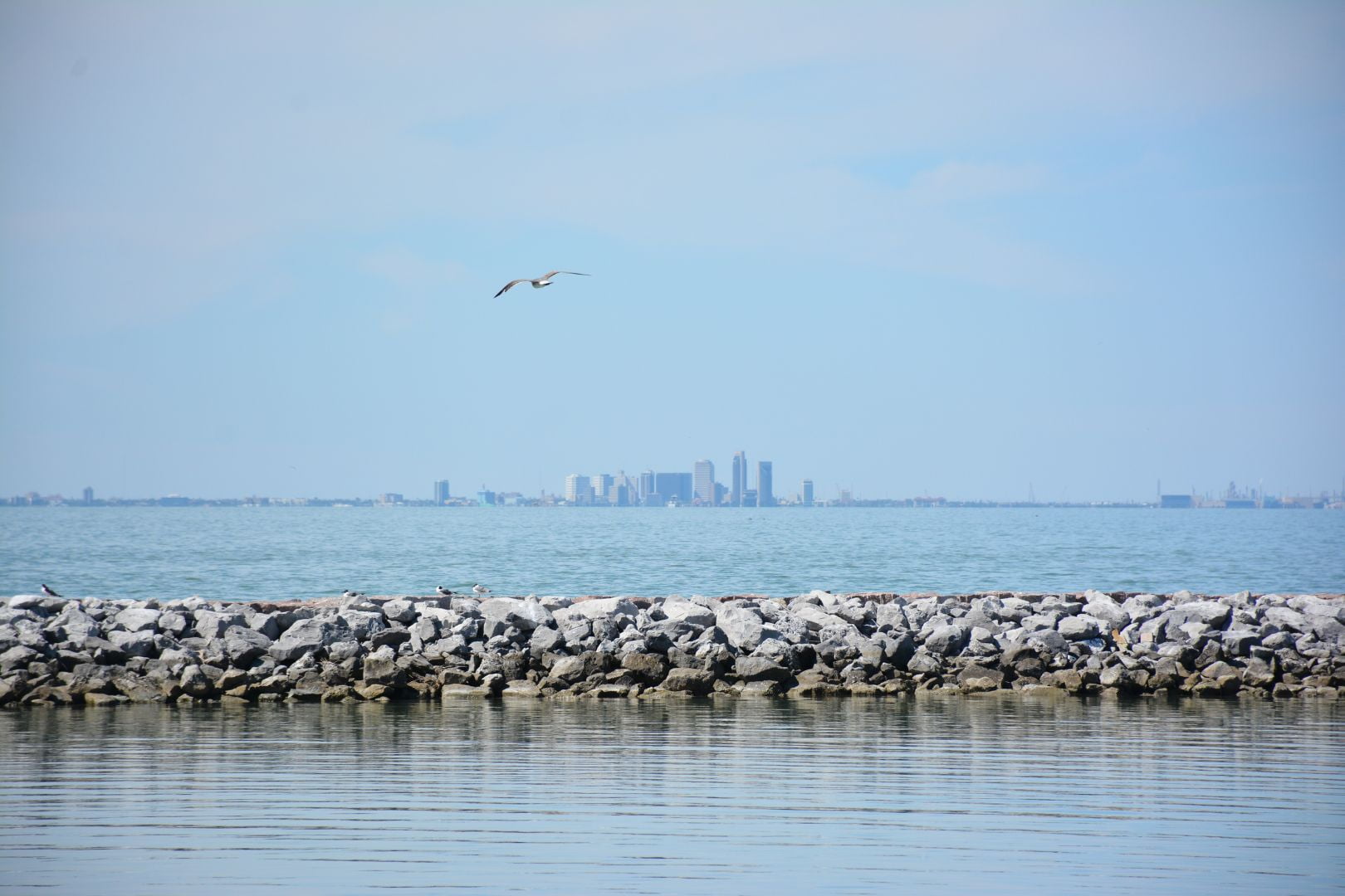Image of the Corpus Christi coastline 
