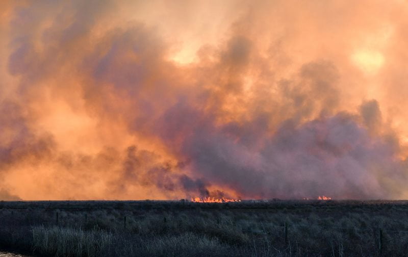 Wildfire