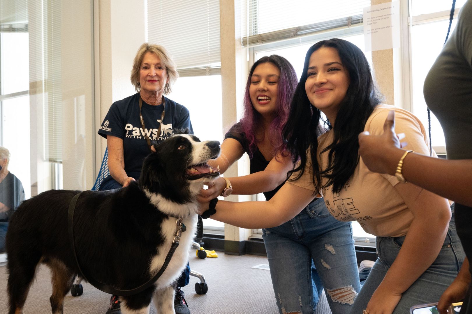 Image shows students playing with dogs 