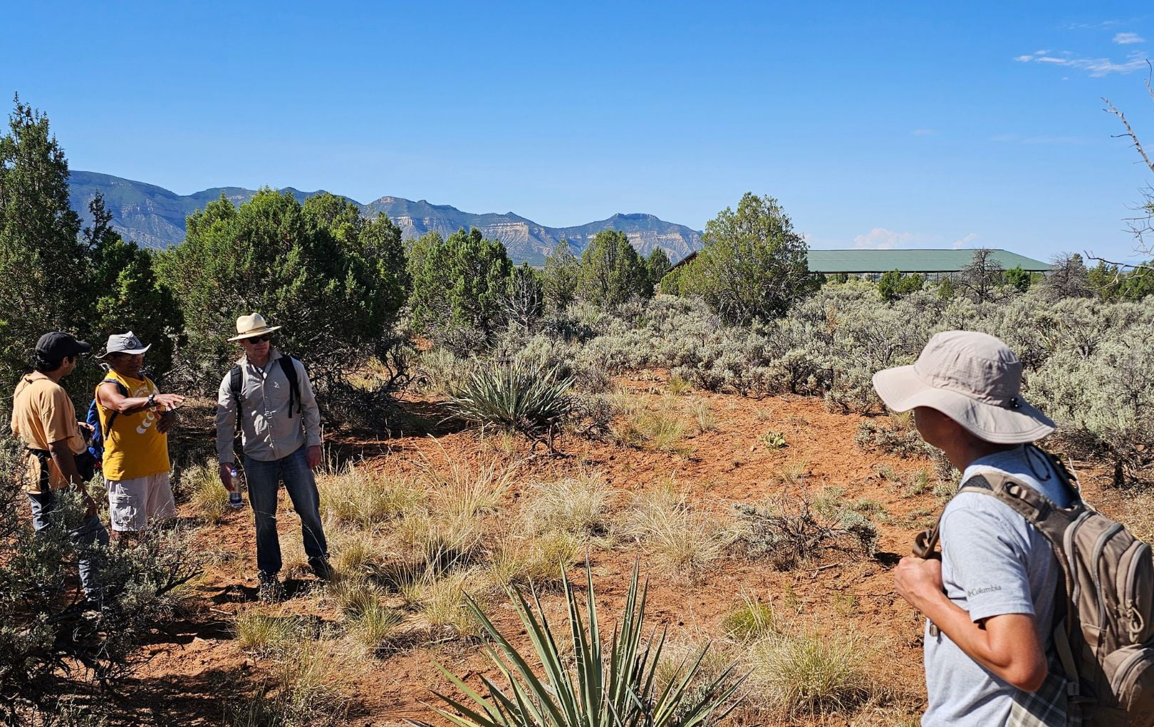Three archaeology students surverying land on the Hawkins Preserve in Cortez, CO. 