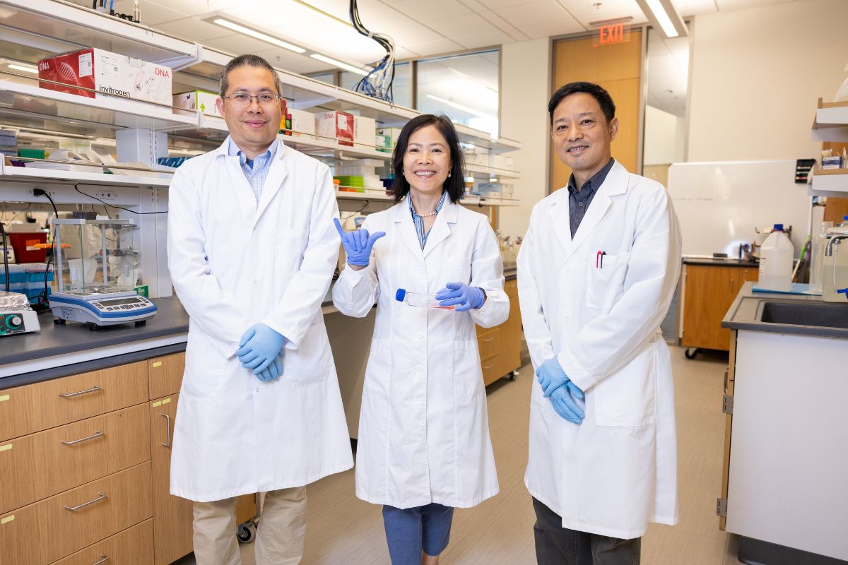 UTA Professors, from left to right: Yi Hong (bioengineering), Zui Pan (nursing), and Jun Yiao (bioengineering)