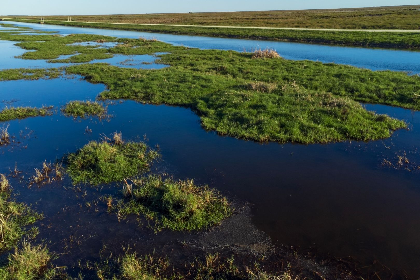 Image shows Aerial view of San Bernard National Wildlife Refuge" style=" height:1080px; width:1620px" _languageinserted="true" src="https://cdn.prod.web.uta.edu/-/media/project/website/news/releases/2026/08/erosion-main.jpg