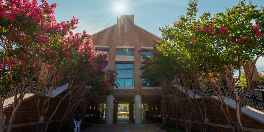 UTA lands in world's top 25% for sustainability