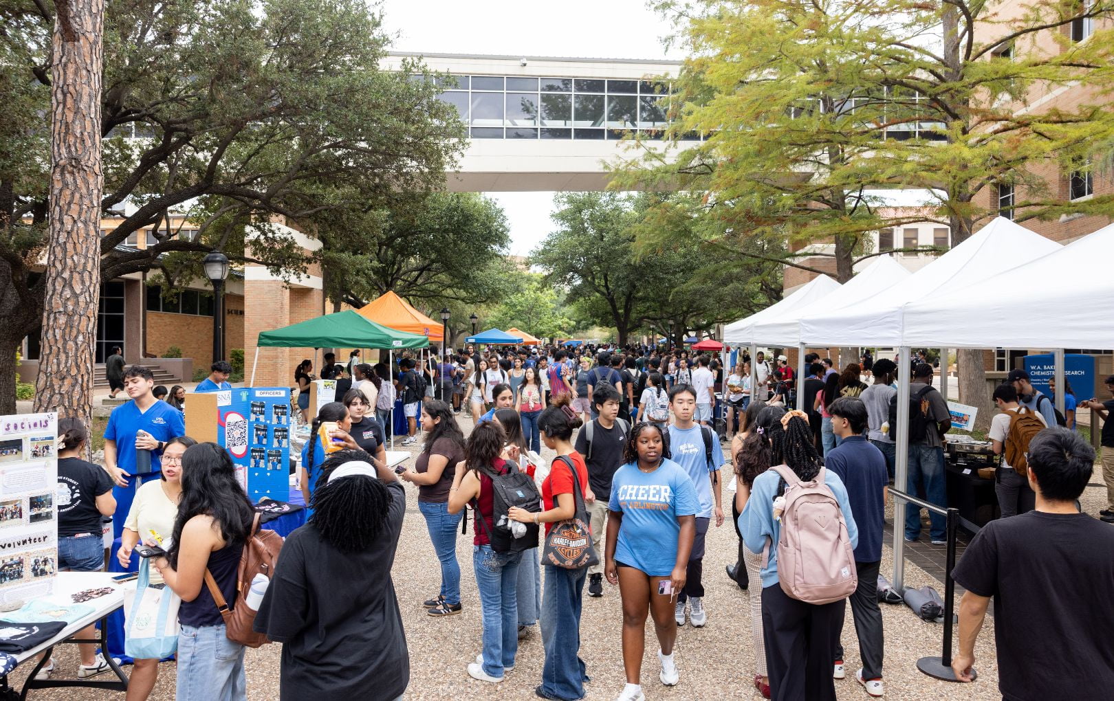 A crowd of UTA students at the UTA Student Activity Fair " style=" height:1020px; width:1620px" _languageinserted="true" src="https://cdn.prod.web.uta.edu/-/media/project/website/news/releases/2026/09/enrollment-main.jpg