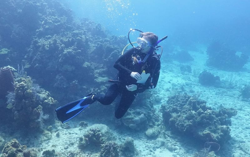 Madison Emery pictured researching sea creature health
