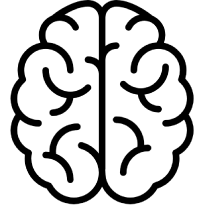The outline of a human brain