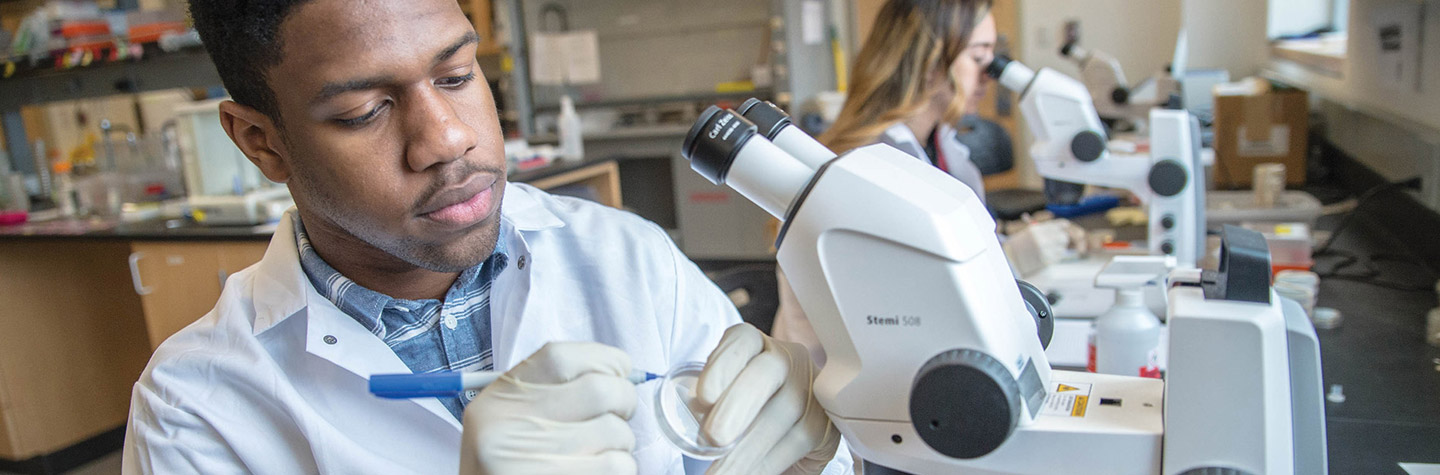 Two biology students wearing lab coats working at microscopes in a laboratory.