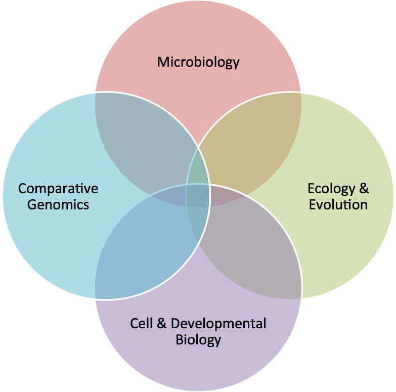 biology research groups