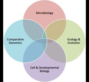 Research Groups biology research groups