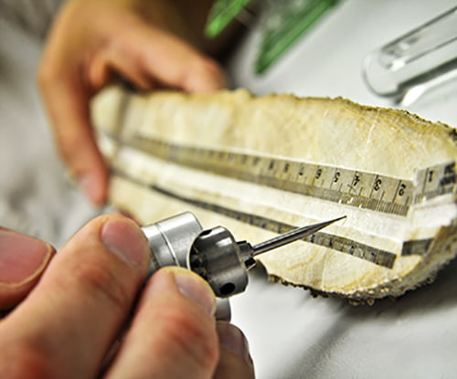 Close-up photo of hands holding a rock sample while it is being measured.