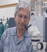 Asish Basu