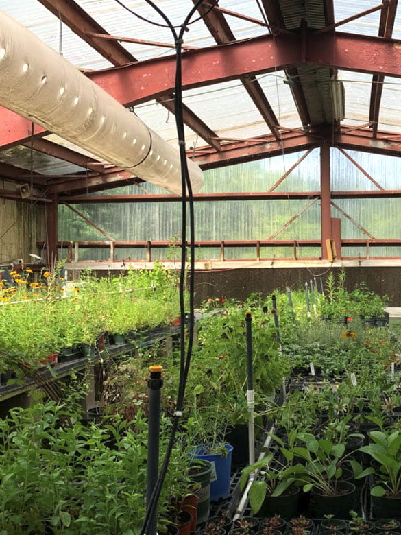 Greenhouse at Randol Mill Park