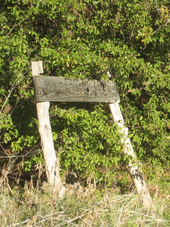 Invasive plant species take over a sign at Randol Mill Park