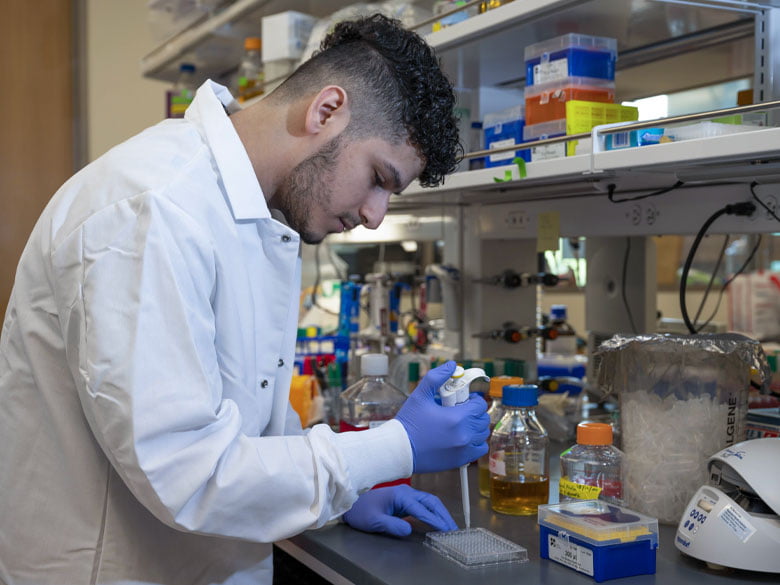An undergraduate student wearing a lab coat and gloves works in a biology lab.