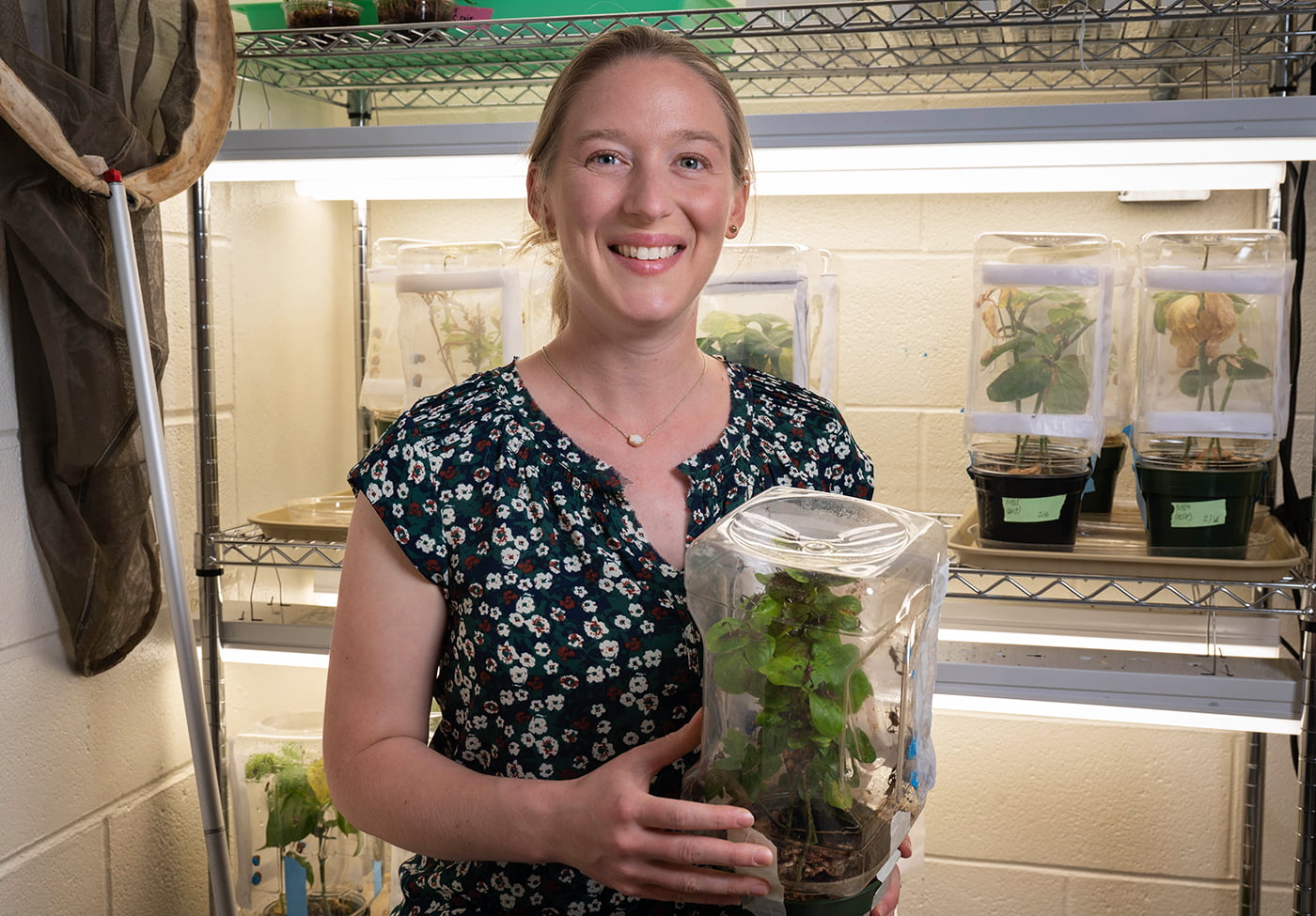 Alison Ravenscraft, assistant professor of Biology