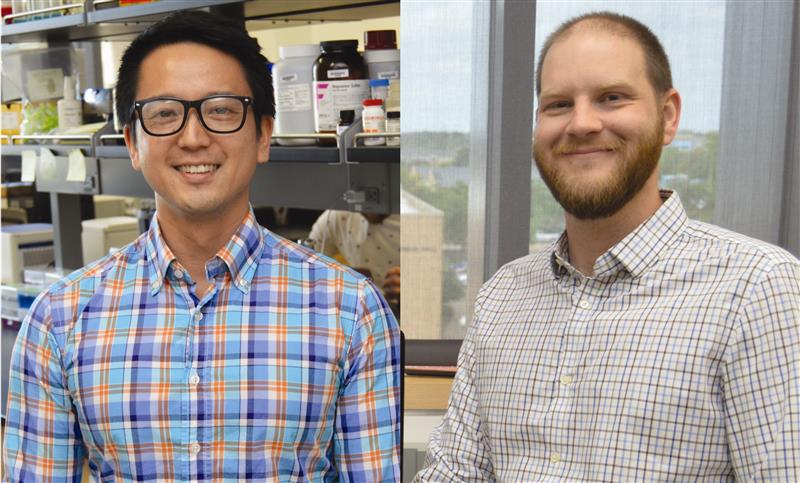 Matt Fujita and Corey Roelke