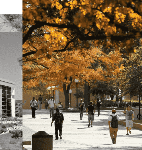 Students walking in the UTA courtyard