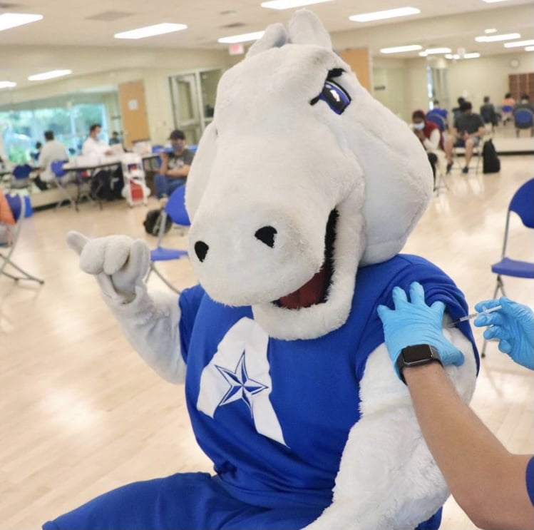 Blaze receiving a vaccination
