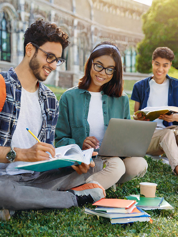 an image of students gathered studying outside